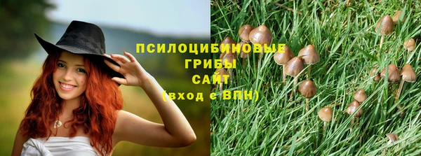 винт Алексин