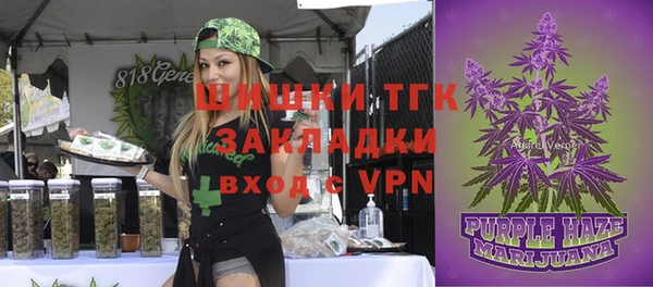 спайс Алзамай