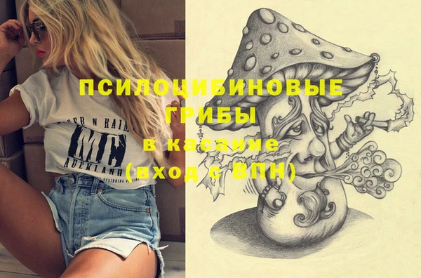 спиды Алексеевка