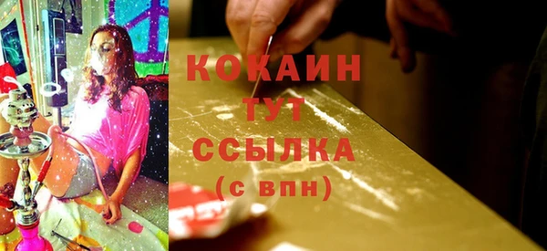спайс Алзамай