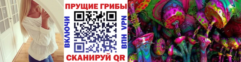Псилоцибиновые грибы ЛСД kraken ТОР Камышин как найти наркотики