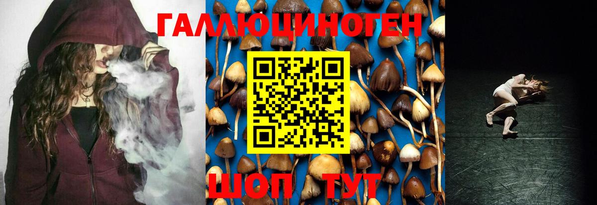 Псилоцибиновые грибы мицелий Камышин